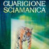 Guarigione sciamanica. Con Contenuto digitale (fornito elettronicamente)