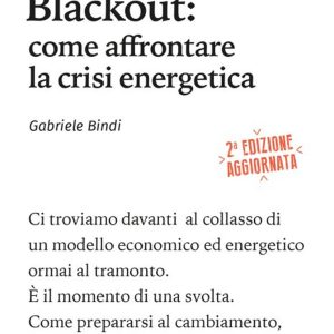 Blackout: come affrontare la crisi energetica